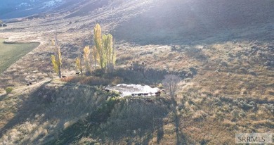 The Arrow S Ranch is a diverse and immense farm & ranch property - photo 9