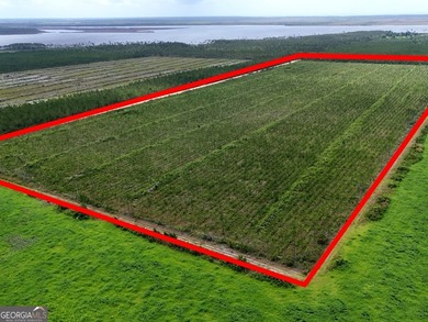 Welcome to 32 high & dry acres along Allanton Rd, Panama City - photo 1
