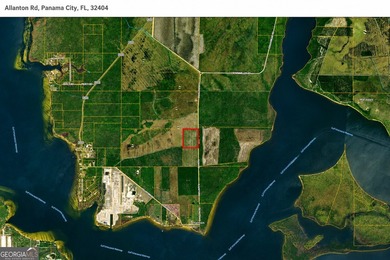 Welcome to 32 high & dry acres along Allanton Rd, Panama City - photo 3