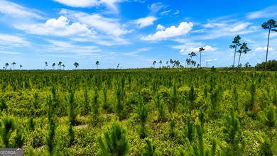 Welcome to 32 high & dry acres along Allanton Rd, Panama City - photo 9