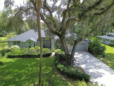 Tsala Apopka Chain of Lakes Home For Sale in Inverness Florida