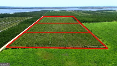 Welcome to 10.6 high & dry acres along Allanton Rd, Panama City - photo 2