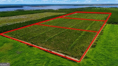 Welcome to 10.6 high & dry acres along Allanton Rd, Panama City - photo 3
