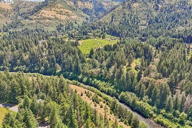 Tucked away in a beautiful, secluded neighborhood, this - photo 43