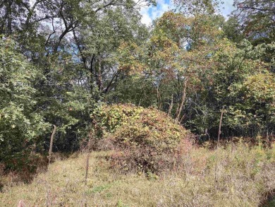 White Lake - Marquette County Lot For Sale in Montello Wisconsin