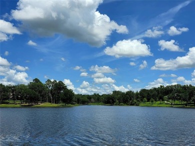 Lake Lot For Sale in Larue, Texas