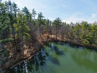Framed by large mature white pine trees sits this beautiful - photo 1