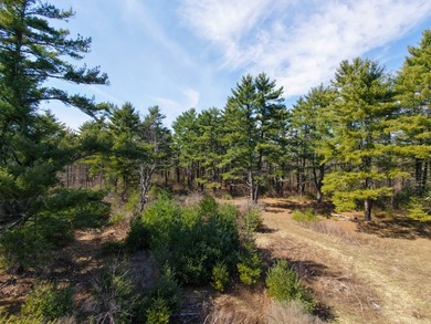 Framed by large mature white pine trees sits this beautiful - photo 2