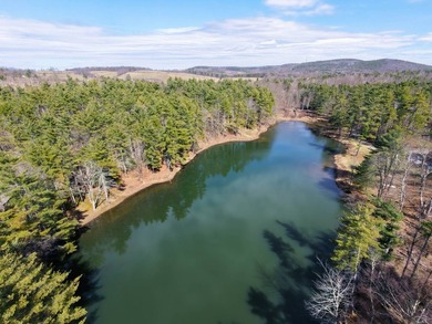 Framed by large mature white pine trees sits this beautiful - photo 3