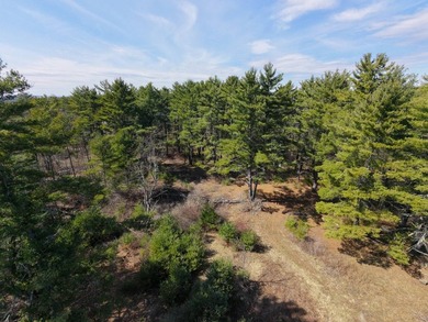 Framed by large mature white pine trees sits this beautiful - photo 4