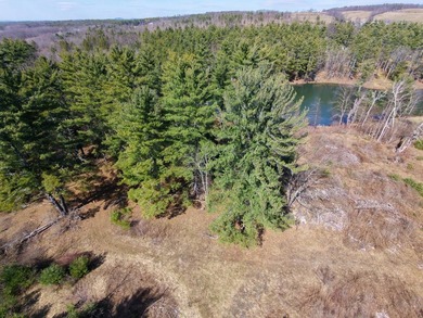 Framed by large mature white pine trees sits this beautiful - photo 5