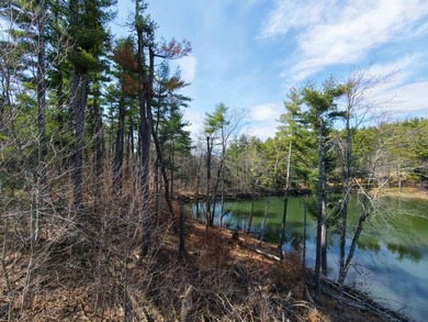 Framed by large mature white pine trees sits this beautiful - photo 6