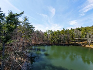 Framed by large mature white pine trees sits this beautiful - photo 7