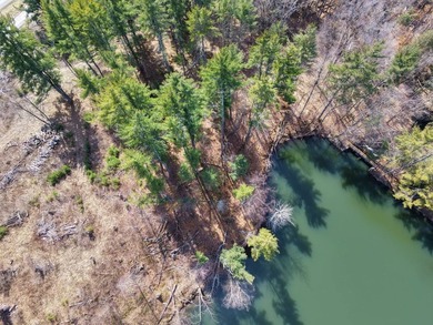 Framed by large mature white pine trees sits this beautiful - photo 8