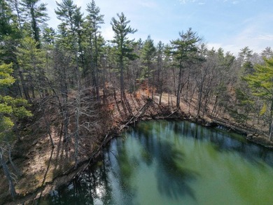 Framed by large mature white pine trees sits this beautiful - photo 9