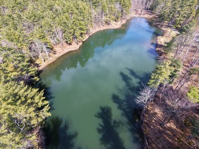 Framed by large mature white pine trees sits this beautiful - photo 10