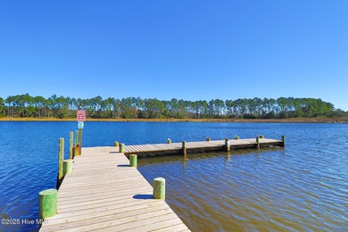 Nestled within the private, gated community of Merrimon Bay - photo 11