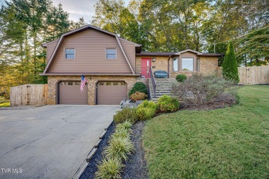 Patrick Henry Lake Home For Sale in Kingsport Tennessee