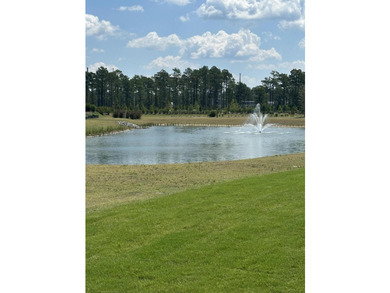 Perfect timing--there is only ONE move-in ready new home - photo 13