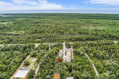 Investors or  owners - Hidden gem on Fort Morgan Road! Tucked - photo 22