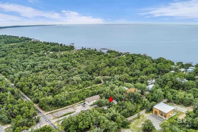 Investors or  owners - Hidden gem on Fort Morgan Road! Tucked - photo 23