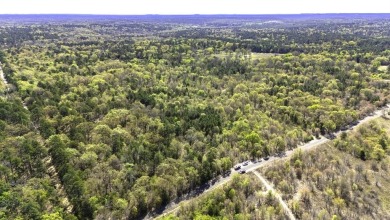 HUNTING FOR SOMETHING TO HUNT ON? - Lake Acreage For Sale in Winnsboro, Texas