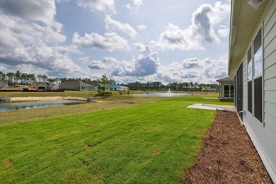 Perfect timing--there is only ONE move-in ready new home - photo 44