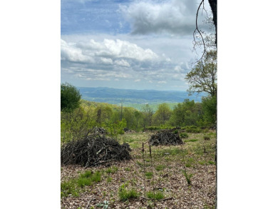  Lot For Sale in Independence Virginia