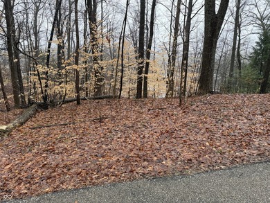 Lake Holiday - Morgan County Lot Sale Pending in Martinsville Indiana