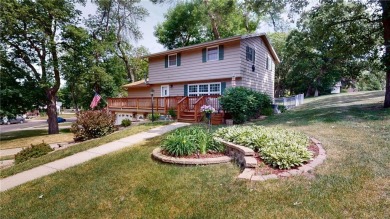 Fountain Lake Home For Sale in Albert Lea Minnesota