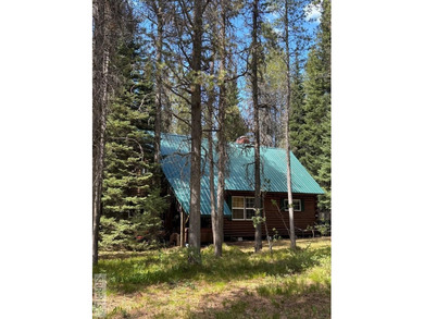 Tucked away deep in the Forest Service Lease ground, this - photo 3