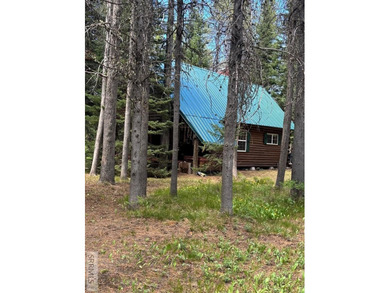 Tucked away deep in the Forest Service Lease ground, this - photo 4