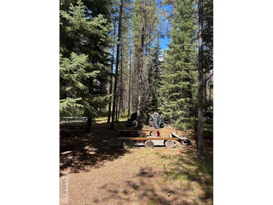 Tucked away deep in the Forest Service Lease ground, this - photo 7