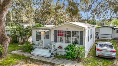 (private lake, pond, creek) Home For Sale in Zephyrhills Florida