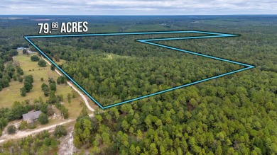 Lake Acreage For Sale in Laurel Hill, Florida