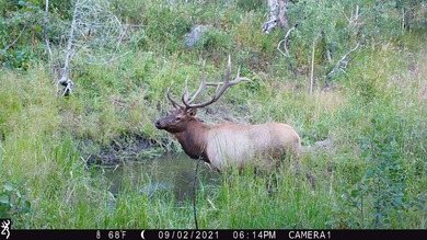 (private lake, pond, creek) Acreage For Sale in Bellvue Colorado