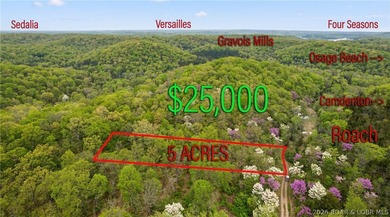 Great 5 acres of land located just outside of Camden County's - photo 1