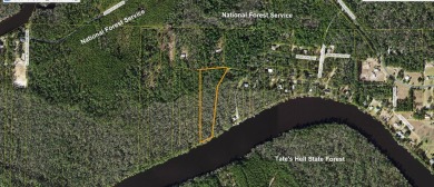 (private lake, pond, creek) Acreage For Sale in Sopchoppy Florida