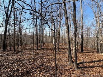 Great 5 acres of land located just outside of Camden County's - photo 4