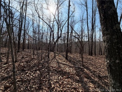 Great 5 acres of land located just outside of Camden County's - photo 5