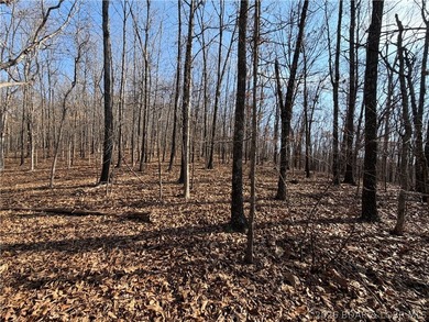 Great 5 acres of land located just outside of Camden County's - photo 6