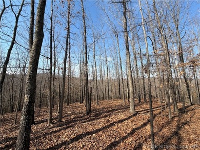 Great 5 acres of land located just outside of Camden County's - photo 8