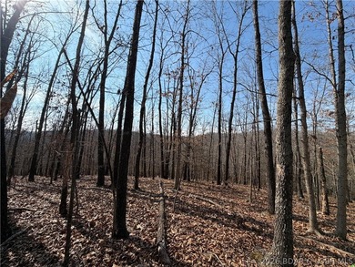 Great 5 acres of land located just outside of Camden County's - photo 9