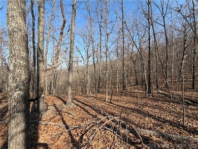 Great 5 acres of land located just outside of Camden County's - photo 10