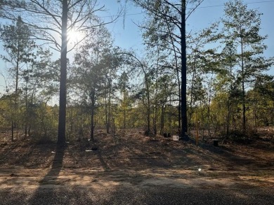 Plain Dealing Lake Lot Active Under Contract in Plain Dealing Louisiana