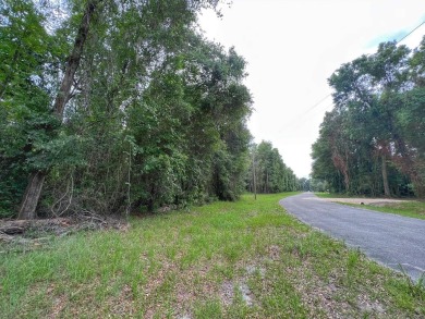 Lake Lot For Sale in Chiefland, Florida