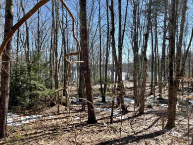 Lake Winnipesaukee Acreage For Sale in Tuftonboro New Hampshire