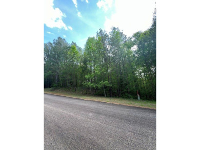 Lake Lot For Sale in Iva, South Carolina