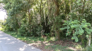 Lake Griffin Lot For Sale in Leesburg Florida