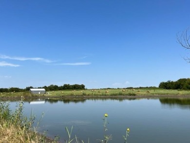 Lake Acreage For Sale in Pecan Gap, Texas